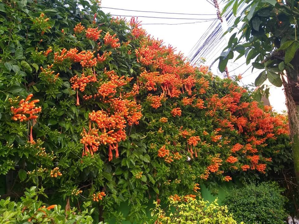Baan Bua Homestay Chiang Rai Eksteriør billede